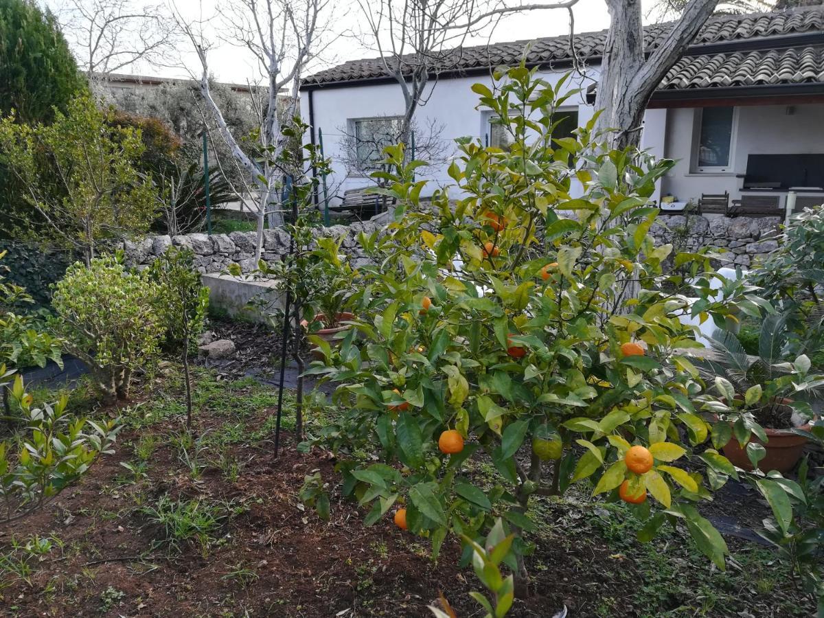 Casa Degli Avi Don Neli, Immersa Nella Natura Modica Dış mekan fotoğraf