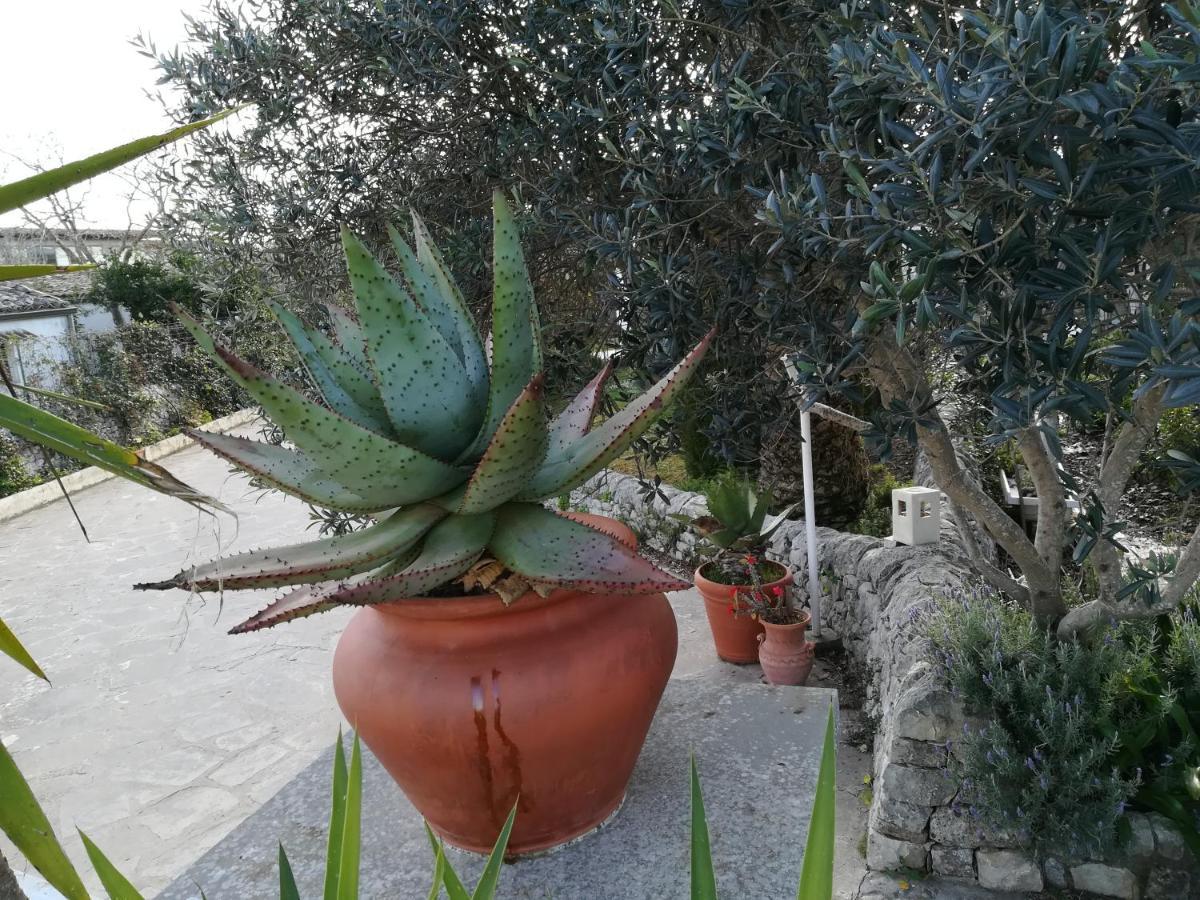 Casa Degli Avi Don Neli, Immersa Nella Natura Modica Dış mekan fotoğraf