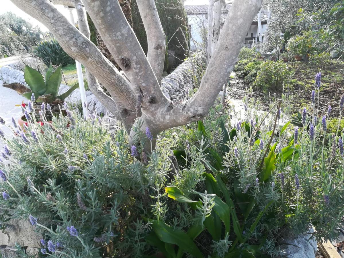 Casa Degli Avi Don Neli, Immersa Nella Natura Modica Dış mekan fotoğraf