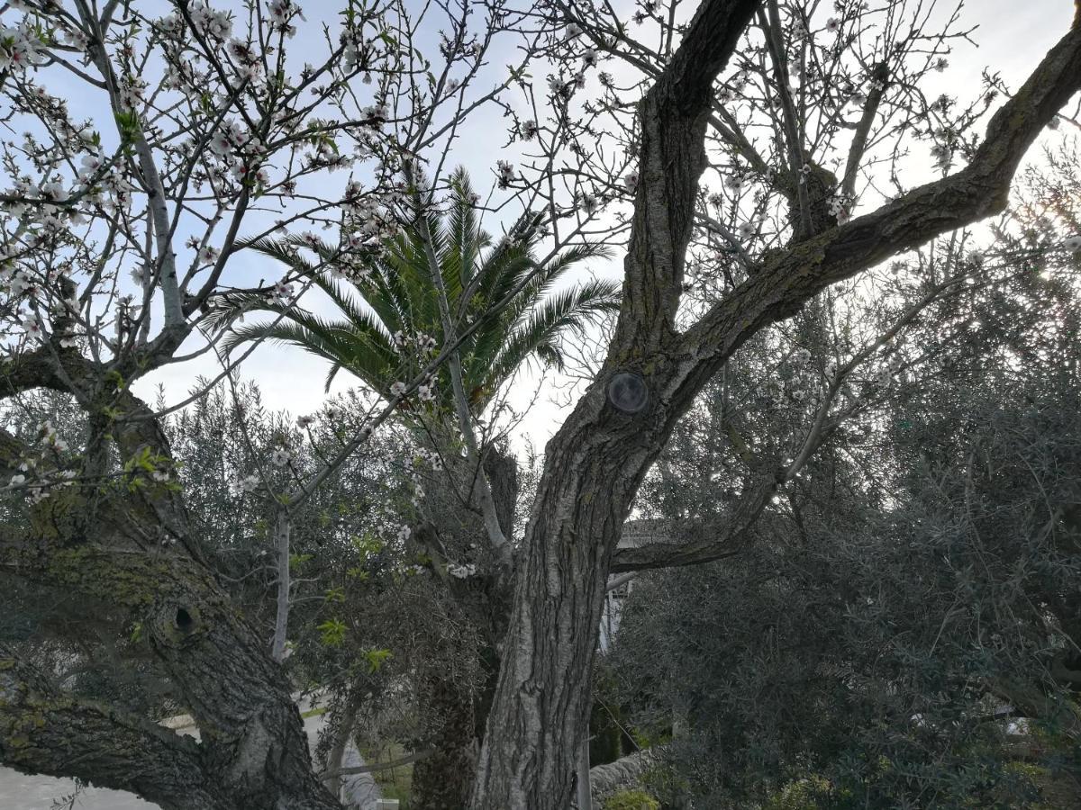Casa Degli Avi Don Neli, Immersa Nella Natura Modica Dış mekan fotoğraf